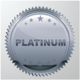 Platinum web design & SEO package